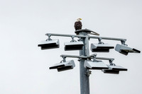 _261004_Allentown-01237