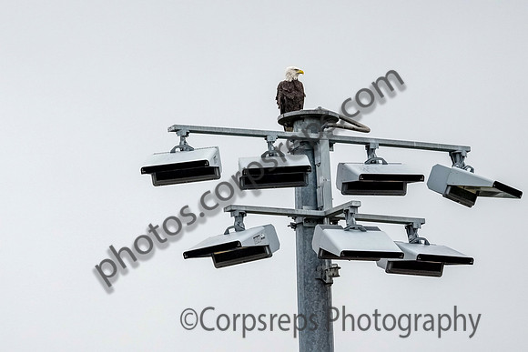 _261004_Allentown-01237