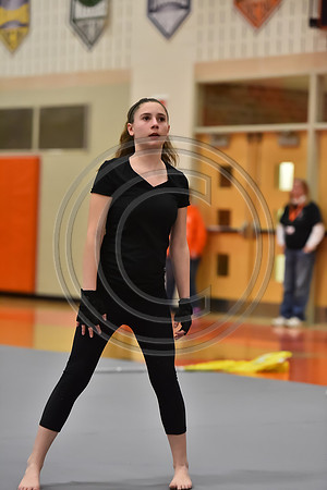 Governor Mifflin Guard-872