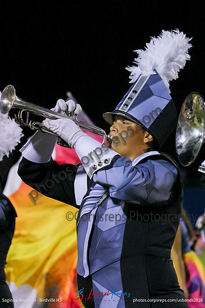 Birdville-015