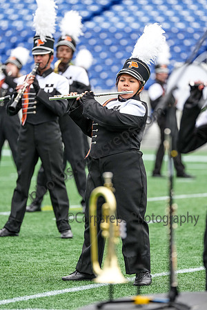 Hayfield_261003_Annapolis-01982