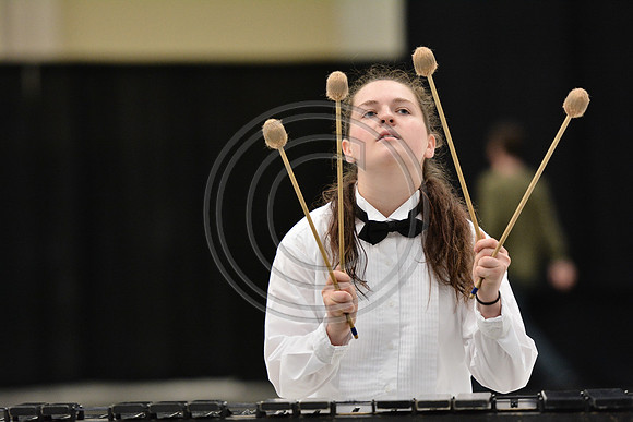 Triton Regional Percussion-207