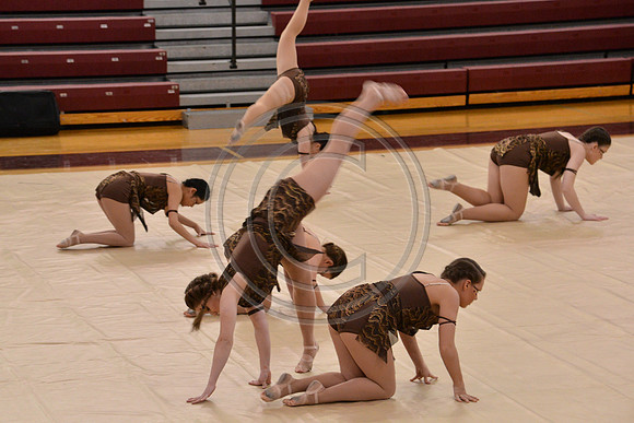 Rhythm in Motion Open Dance-324