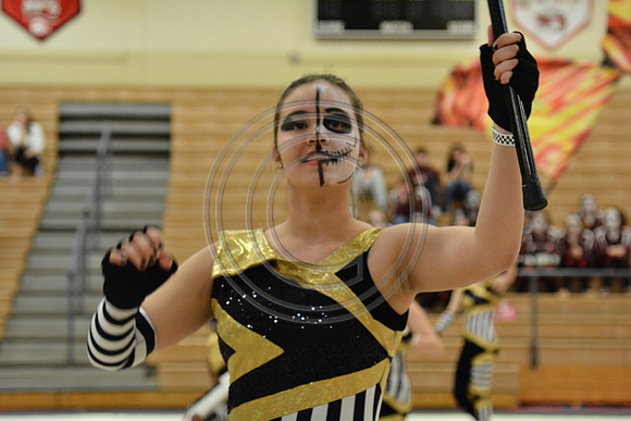 Bloomfield Guard-556