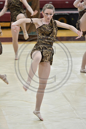 Rhythm in Motion Open Dance-318