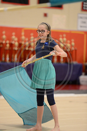 Haddon Heights Short Circuit Guard-032