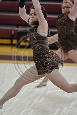 Rhythm in Motion Open Dance-325