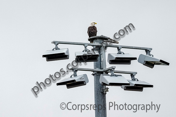 _261004_Allentown-01236