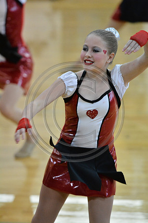 Rhythm in Motion A Dance-290