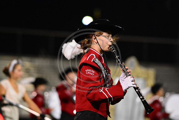 Saucon Valley High School Panthers Marching Band-252