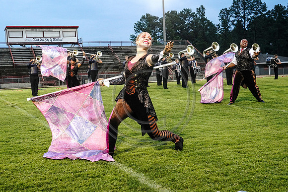 Carolina Gold_190713_Millbrook-03286