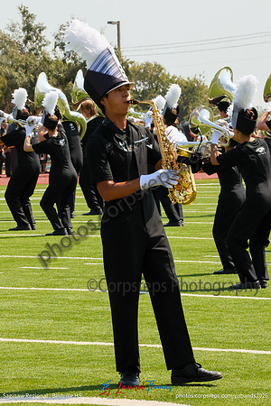 Birdville-007