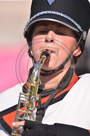 Barnegat-177