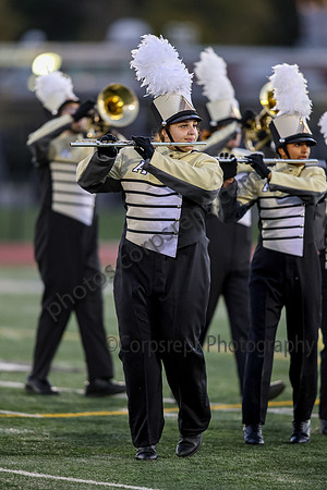 Absegami_261024_Ridge-ms00006