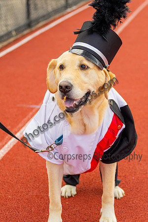 Coatesville_261003_MarpleNewtown-TLV00249