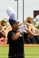 Birdville-003