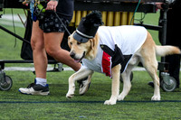 Coatesville_260919_Rustin-00007