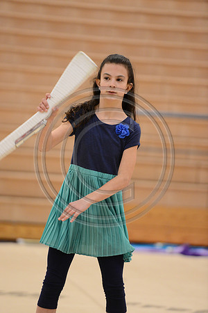 Haddon Heights Short Circuit Guard-040