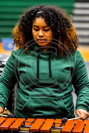 Kensington CAPA Drumline_170225_Ridley-3226
