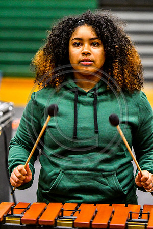 Kensington CAPA Drumline_170225_Ridley-3227