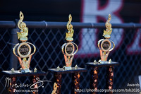 Awards_262410_Woodbridge-mg00004