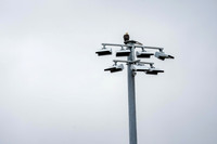 _261004_Allentown-01235