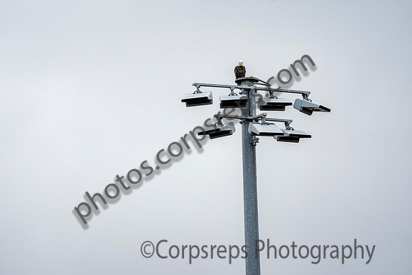 _261004_Allentown-01235
