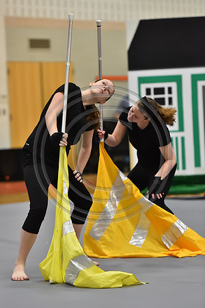 Governor Mifflin Guard-890