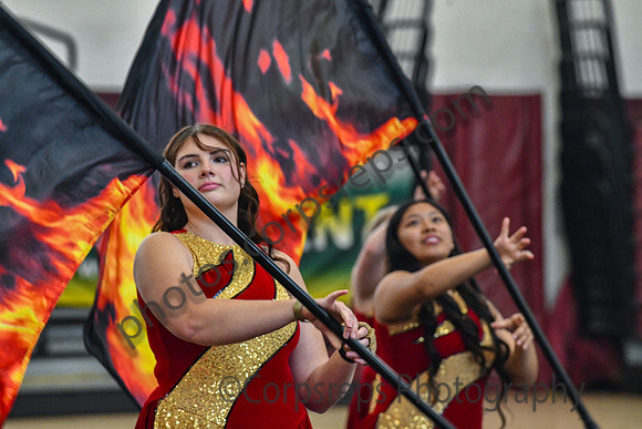 Arcadia Guard_250329_Abington-DJK01134
