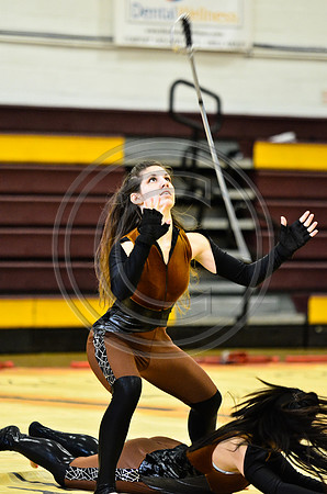 Triton Regional Guard-1009