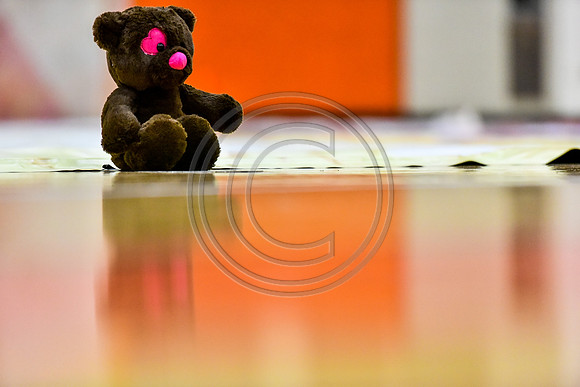 Perkiomen Valley Guard_170311_Perkiomen Valley-9433