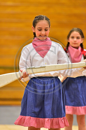 Pegasus Too JR Guard-175