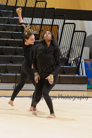 Wayne Hills Guard_250118_West Milford HS-JB00073