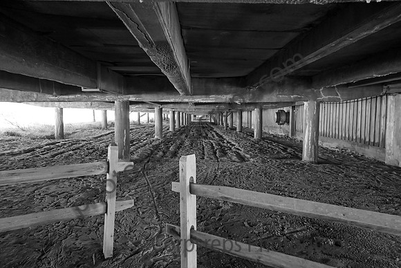 _240501_Wildwood-XX00013