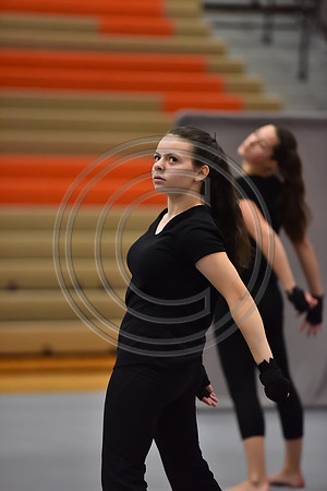Governor Mifflin Guard-876