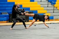 N-8 Winterguard_250118_Downingtown West-00445