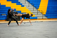 N-8 Winterguard_250118_Downingtown West-00446