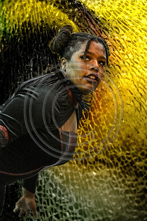 Cab Calloway JV Guard-001