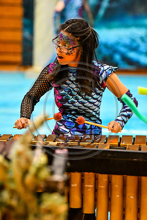 Fair Lawn Drumline_190331_Fair Lawn-6422