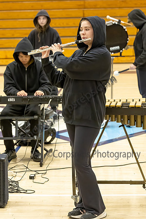 Wayne Hills Percussion_250315_Wayne Valley HS-JB00007