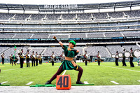 130-Robin Hood at MetLife