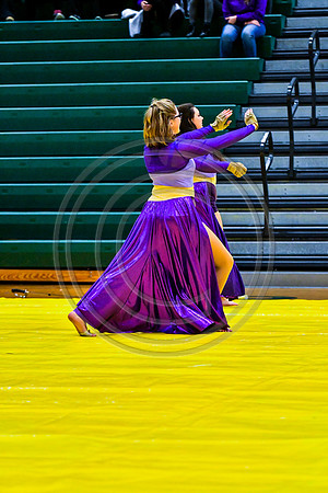 Appoquinimink Maroon Guard_170304_Ridley-7153