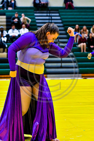 Appoquinimink Maroon Guard_170304_Ridley-7162