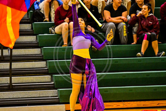 Appoquinimink Maroon Guard_170304_Ridley-7167