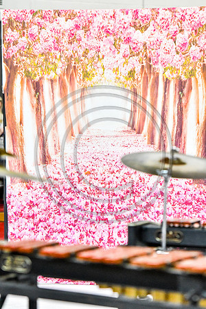 New Providence Percussion_170318_Parkland-9174