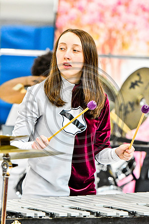 New Providence Percussion_170318_Parkland-9194