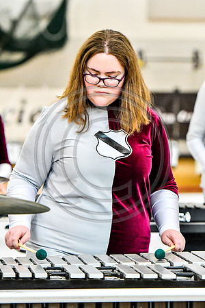 New Providence Percussion_170318_Parkland-9217