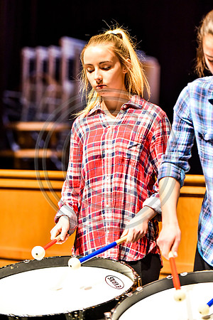 Highland Bass Drum Ensemble_170401_Spring-Ford-2703
