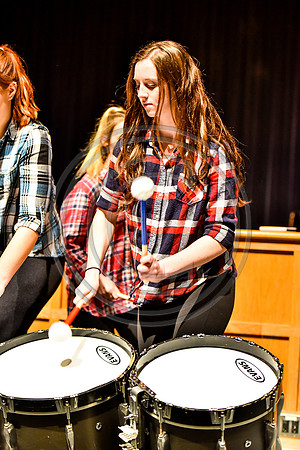 Highland Bass Drum Ensemble_170401_Spring-Ford-2707