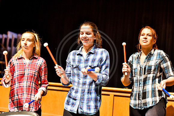 Highland Bass Drum Ensemble_170401_Spring-Ford-2714